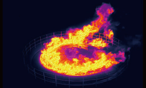 Mavic3 Thermal 画像2