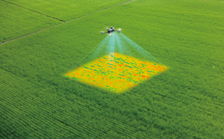 Mavic 3 Multispectral 画像5
